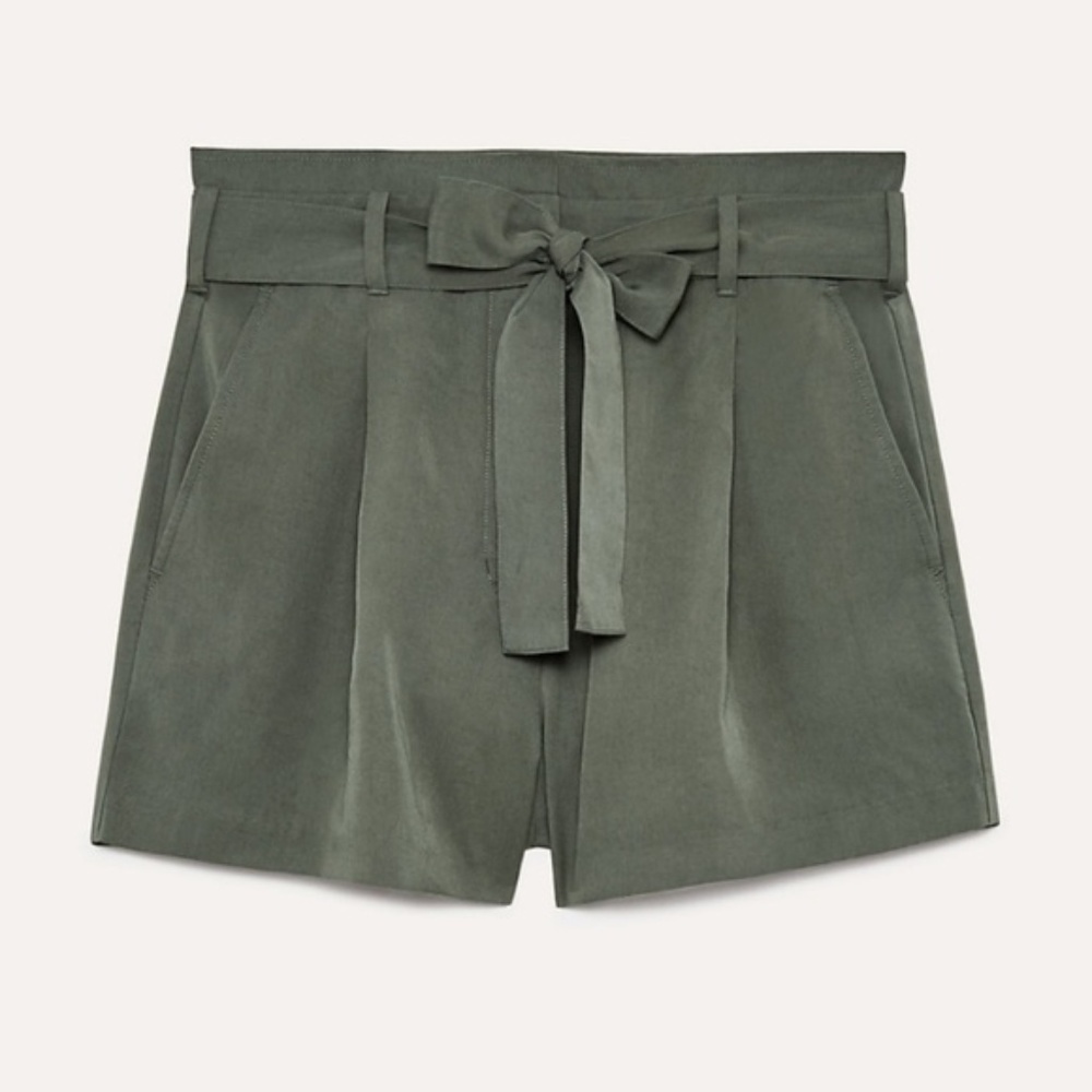 Aritzia Babaton Anderson Short NWT Size 4 Ashen